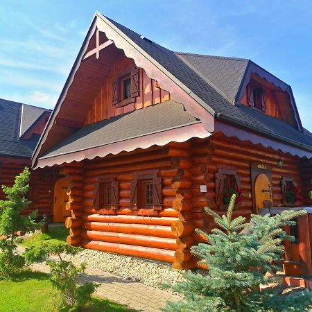 Ubytovanie Koliba Pacho - Zrub Anicka 普列维扎 外观 照片